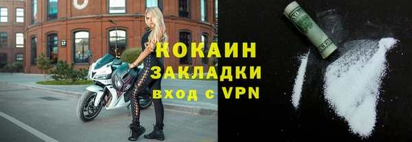 мдпв Пестово
