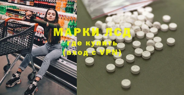 мдпв Пестово