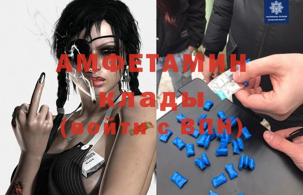 мдпв Пестово