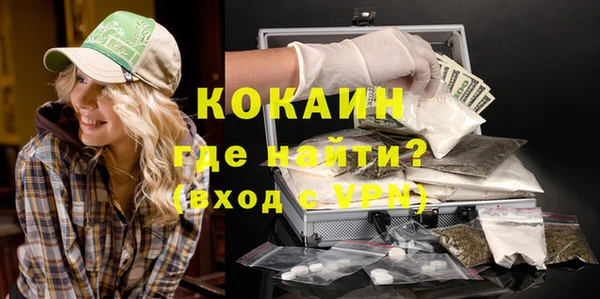 мдпв Пестово