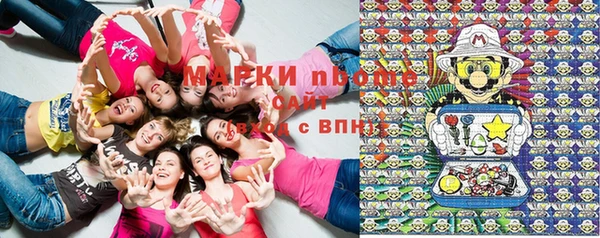 мдпв Пестово